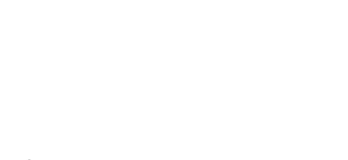 Logo Diputacion Foral Bizkaia