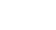 White Provincial Council of Biscay logo